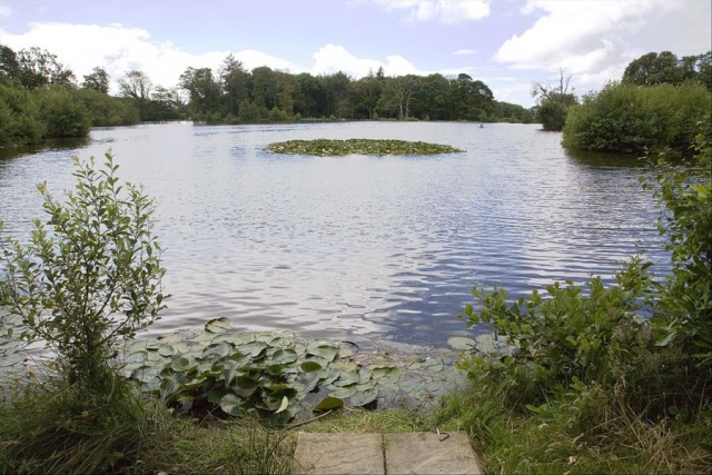  El lago Coarse tiene 6 acres 